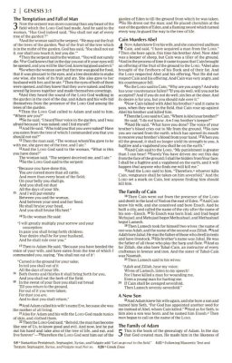 NKJV Bible - Economy Print