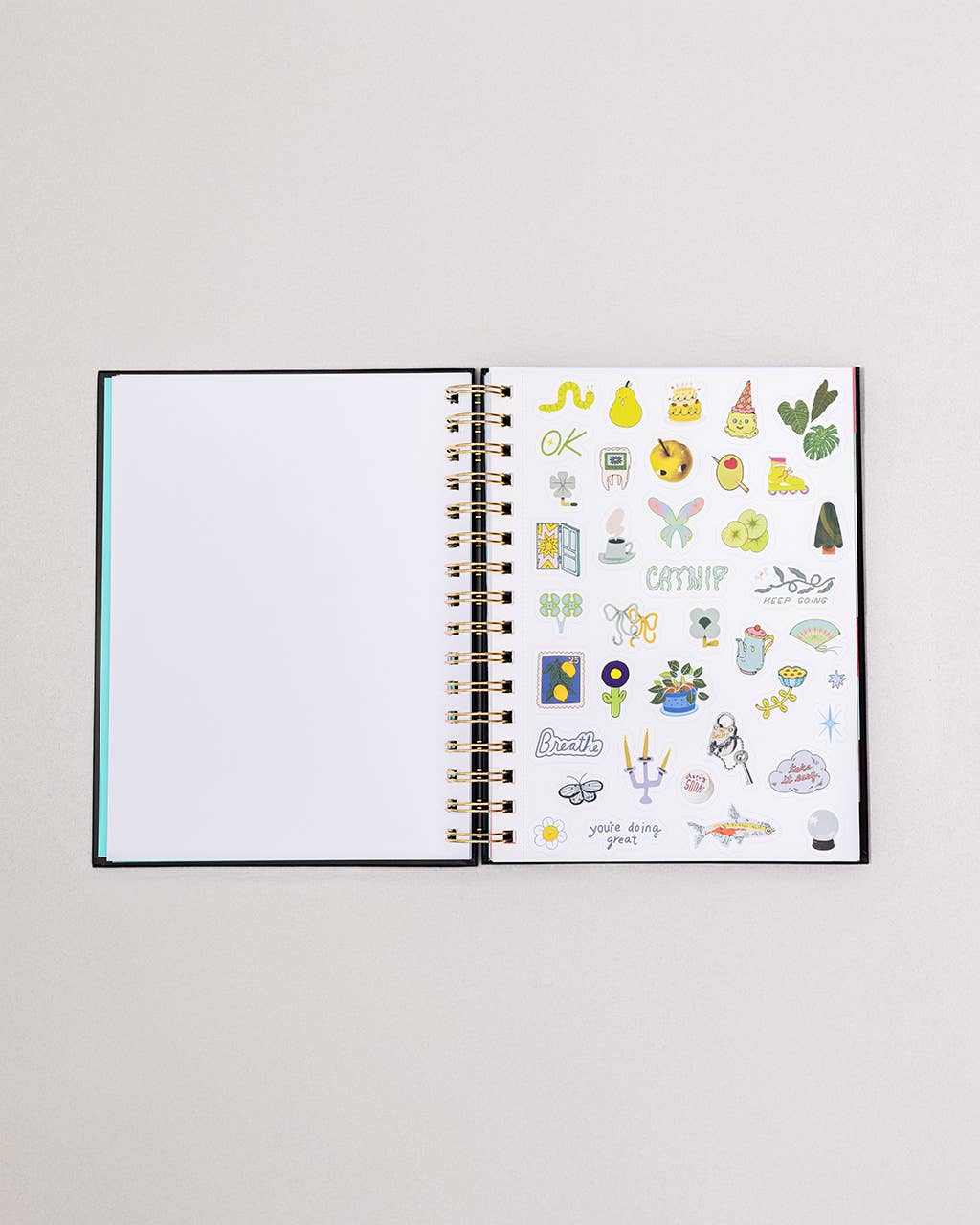 Ban.do 2026 Diary - Medium Planner, Thrilled to Be Here