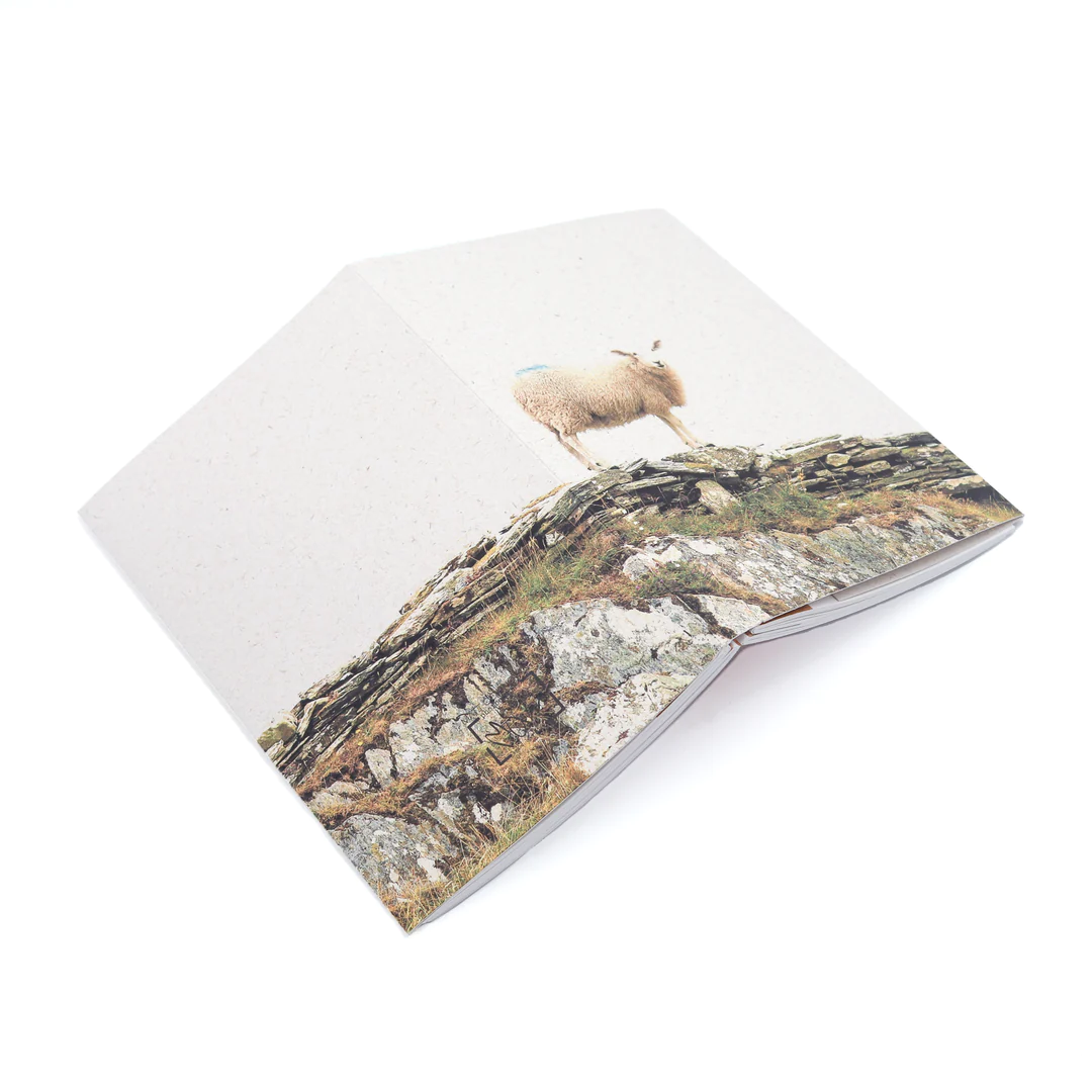Badly Made Books - A5 Sheep's Head