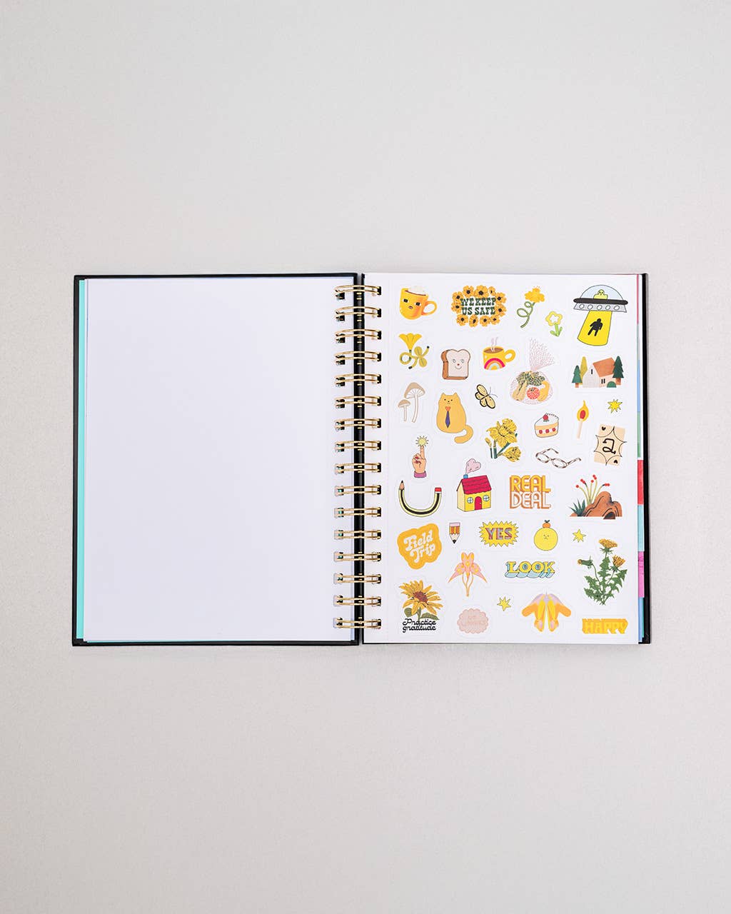 Ban.do 2026 Diary - Medium Planner, Thrilled to Be Here
