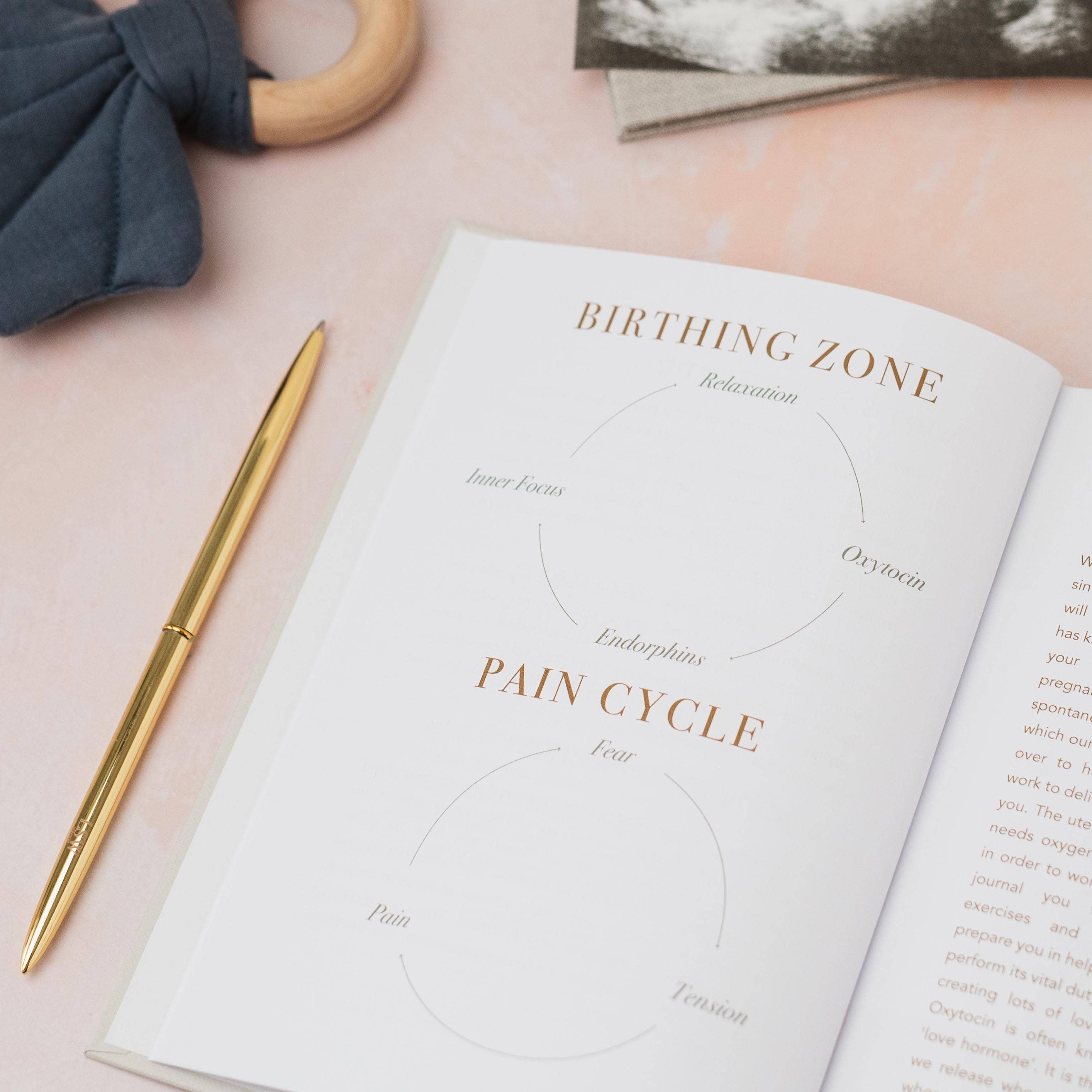 LSW London - Mama Notes Pregnancy Journal