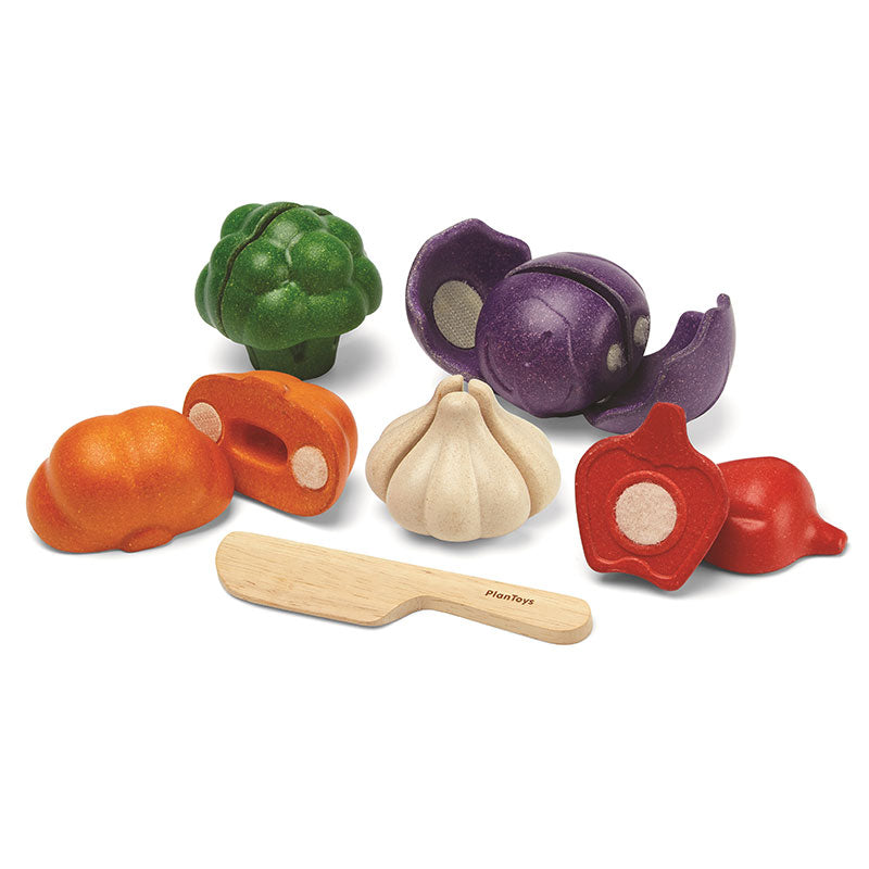 Plan Toys - Pretend 5 Colour Veggie Set