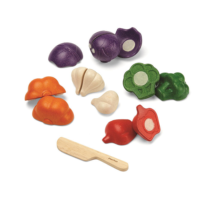 Plan Toys - Pretend 5 Colour Veggie Set