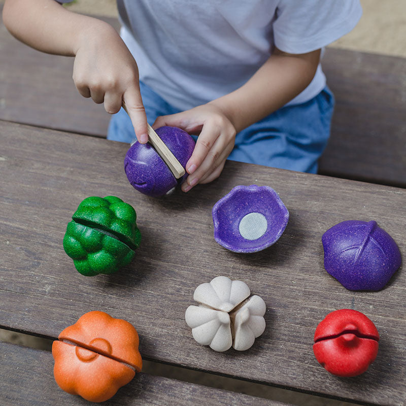 Plan Toys - Pretend 5 Colour Veggie Set