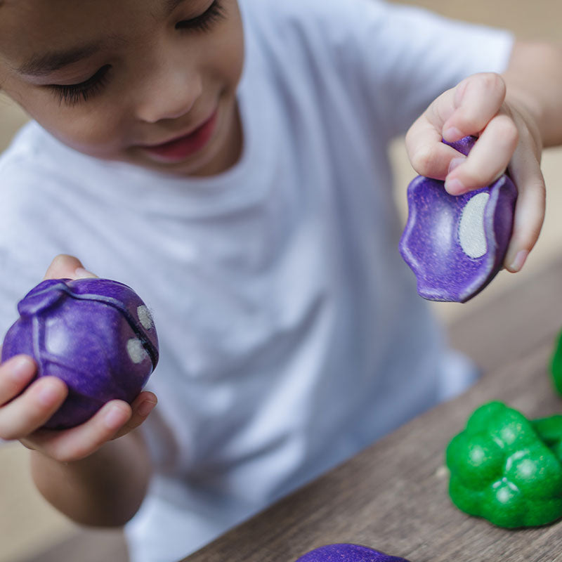 Plan Toys - Pretend 5 Colour Veggie Set
