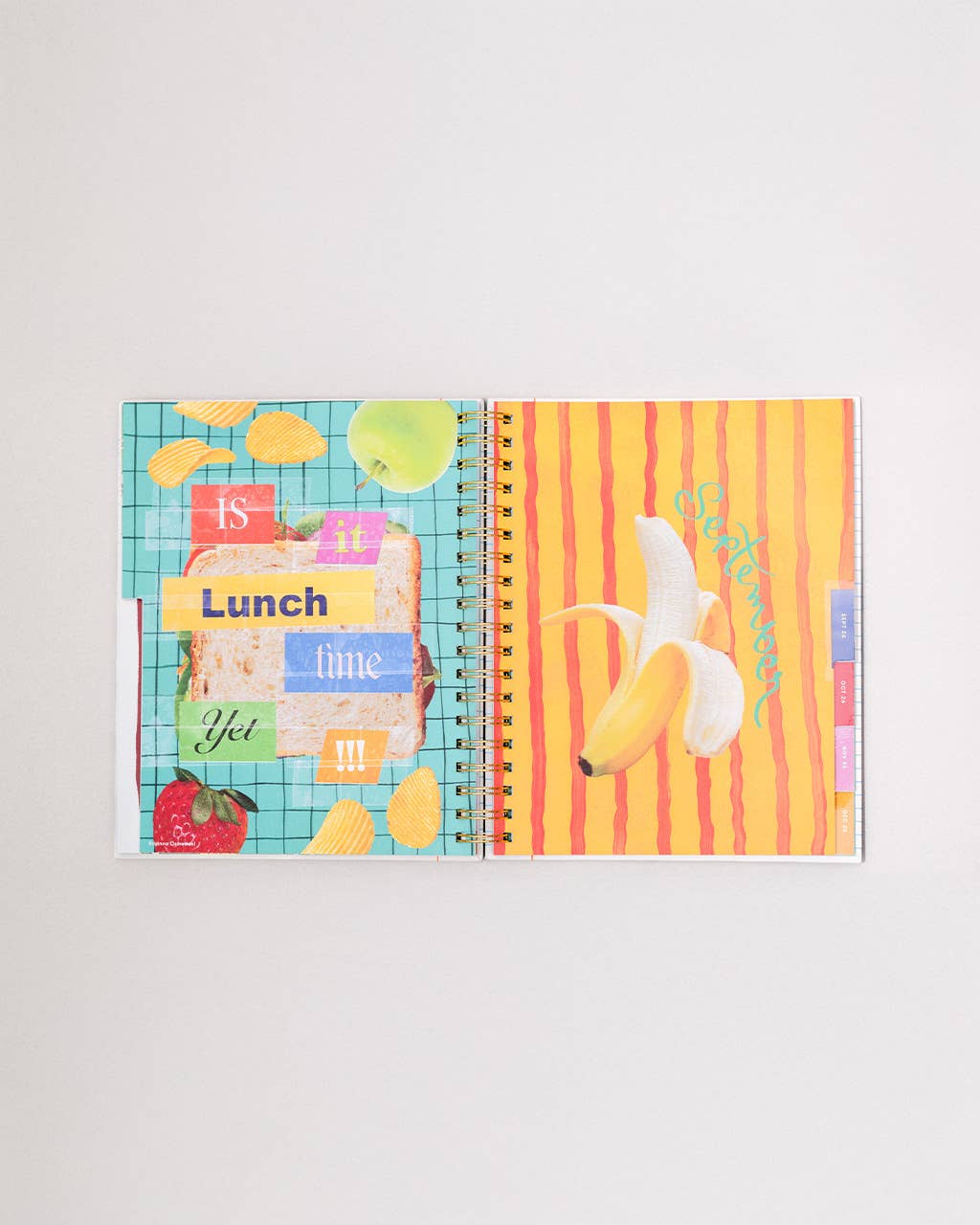 Ban.do 2026 Diary - Large Planner, Ready for Anything