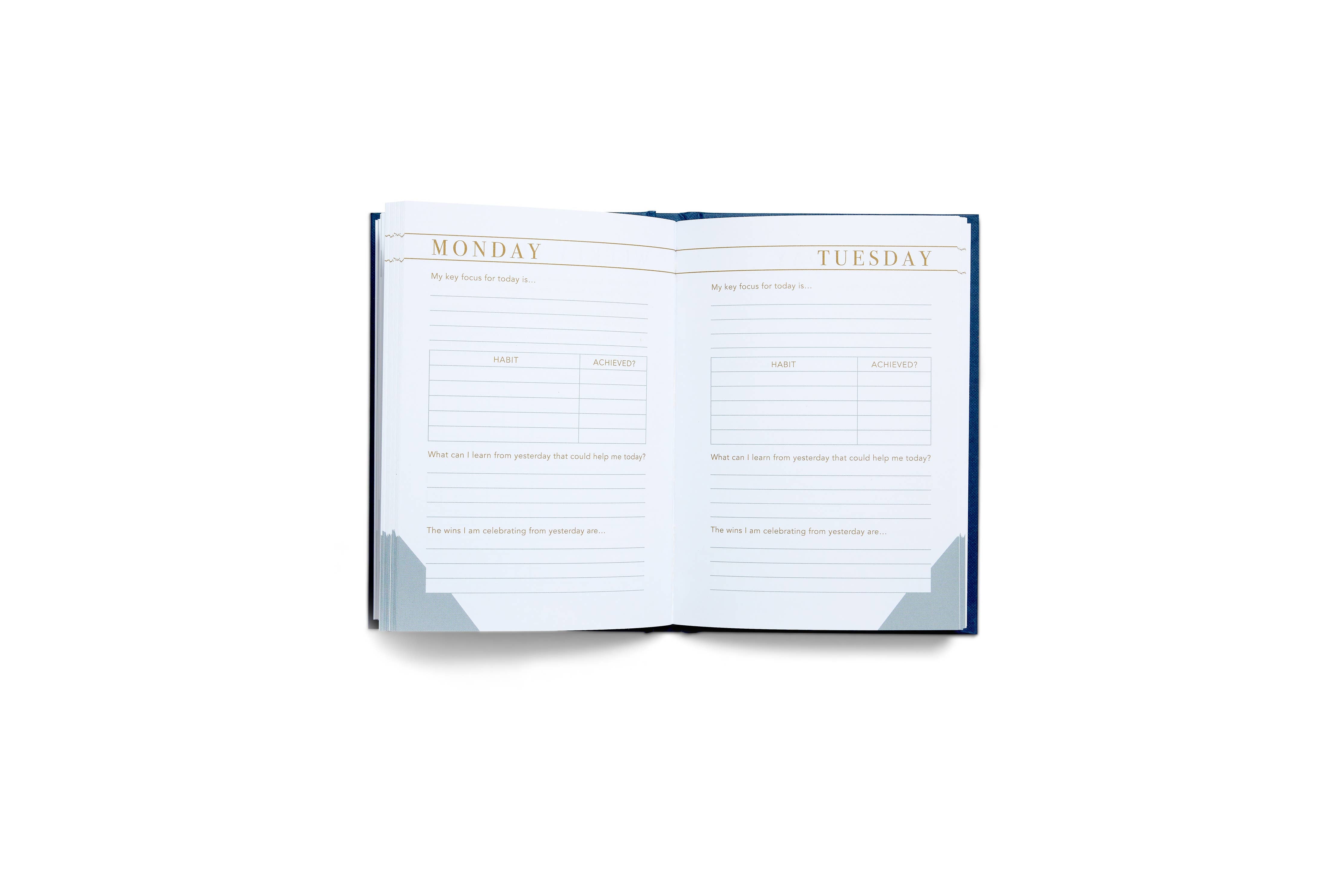 LSW London - Habit Notes