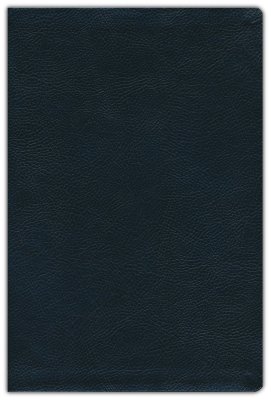 NIV - Thinline Reference Bible - Large Print