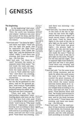 NIV - Thinline Reference Bible - Large Print