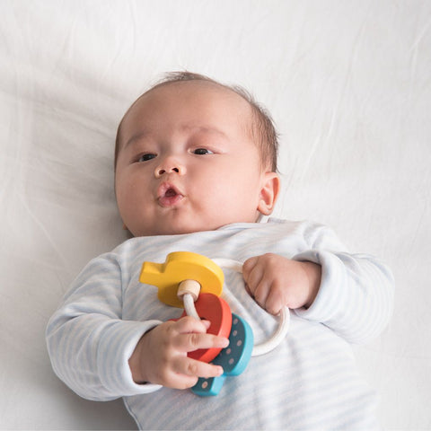 Plan Toys - Baby Key Rattle
