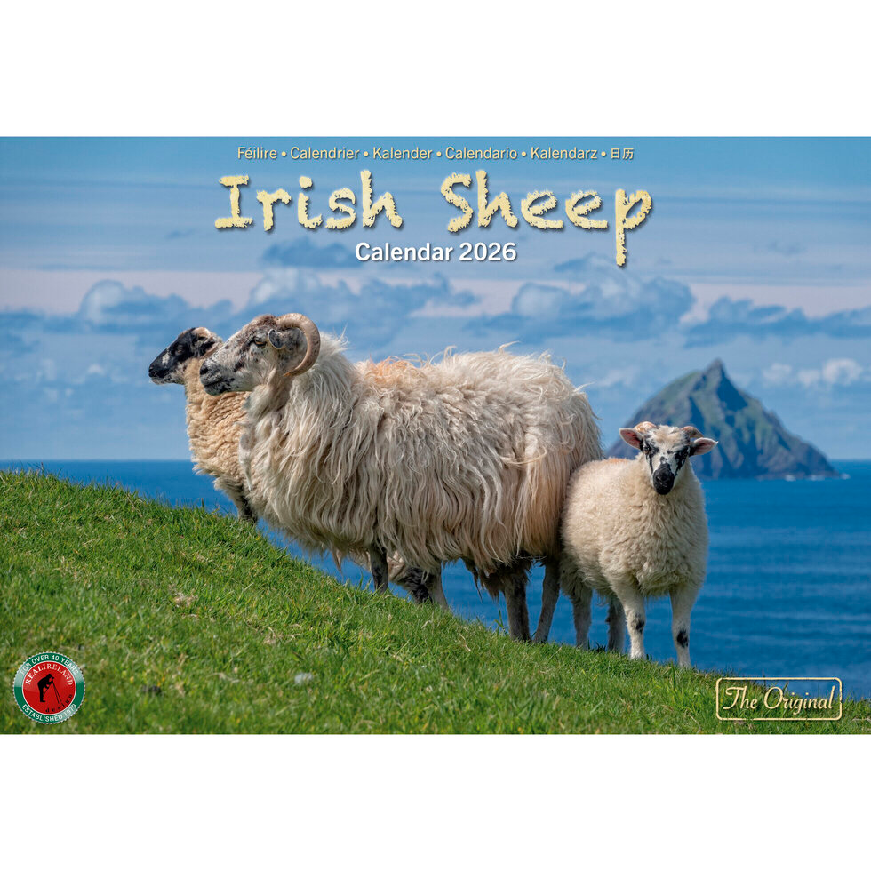 Real Ireland A4 Calendar 2026 - Irish Sheep
