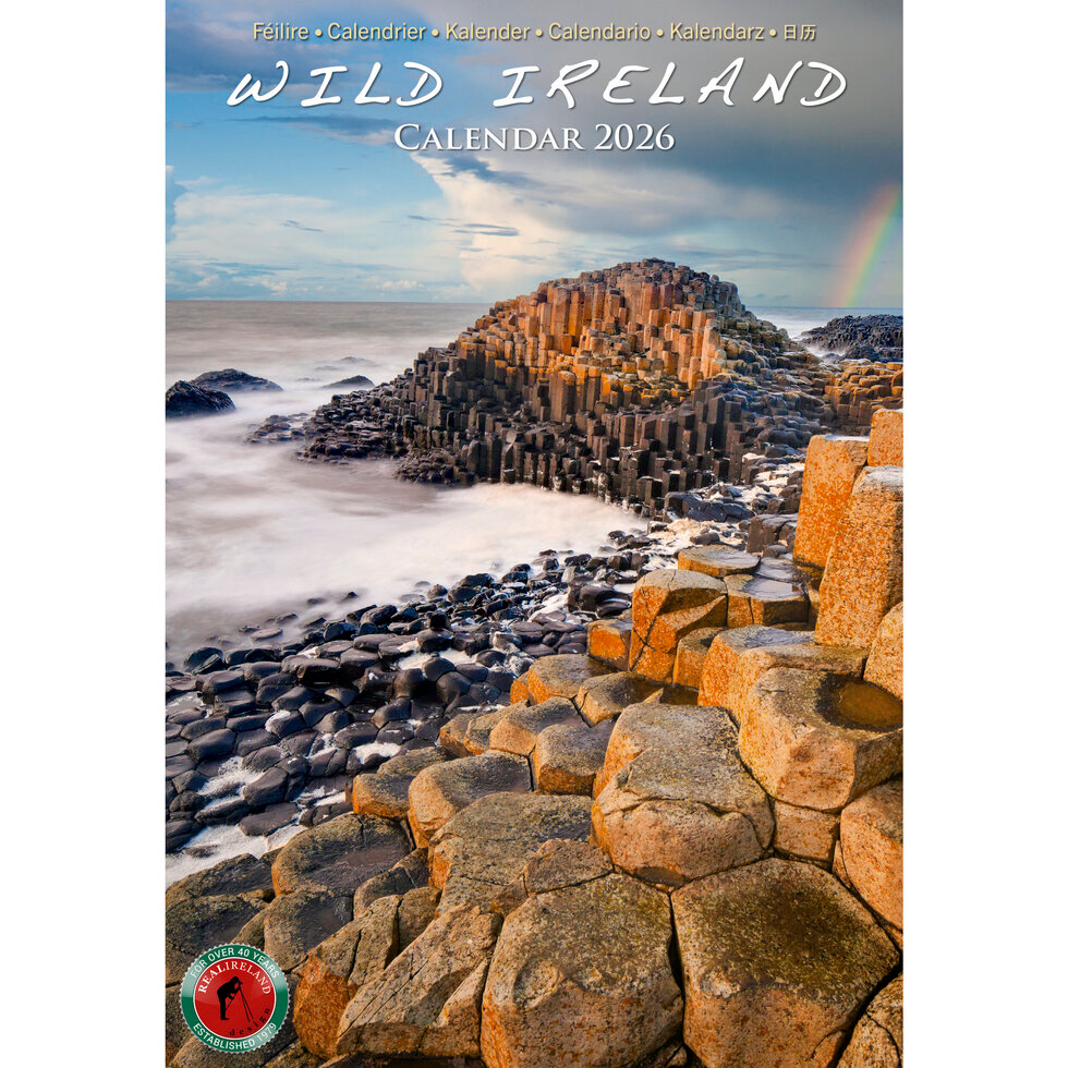 Real Ireland Slim Calendar 2026 - Wild Ireland
