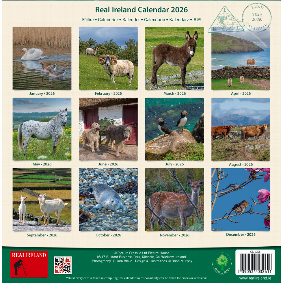 Real Ireland Medium Calendar 2026 - Irish Creatures Great and Small