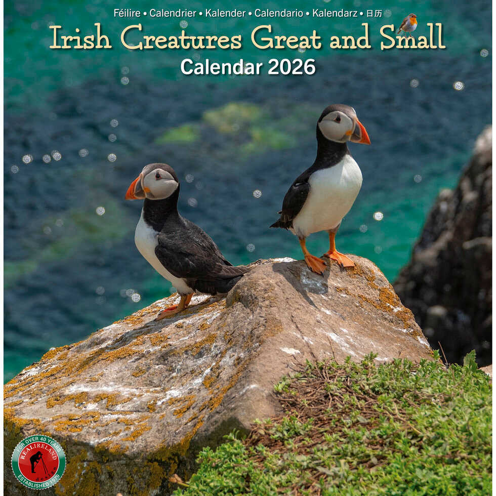 Real Ireland Medium Calendar 2026 - Irish Creatures Great and Small
