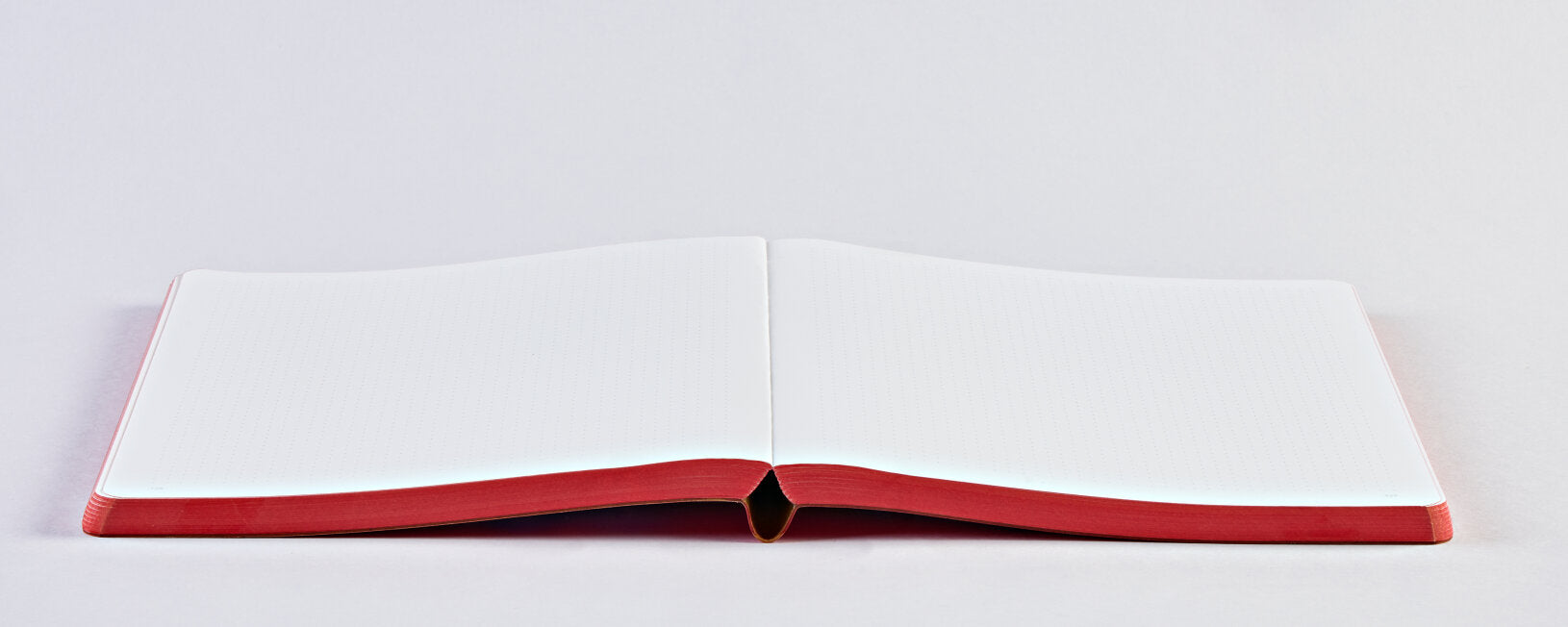 Nuuna Notebook L - Graphic Truths & Dares