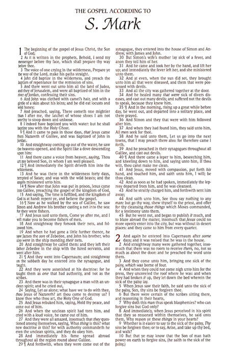 KJV Bible - Economy Navy