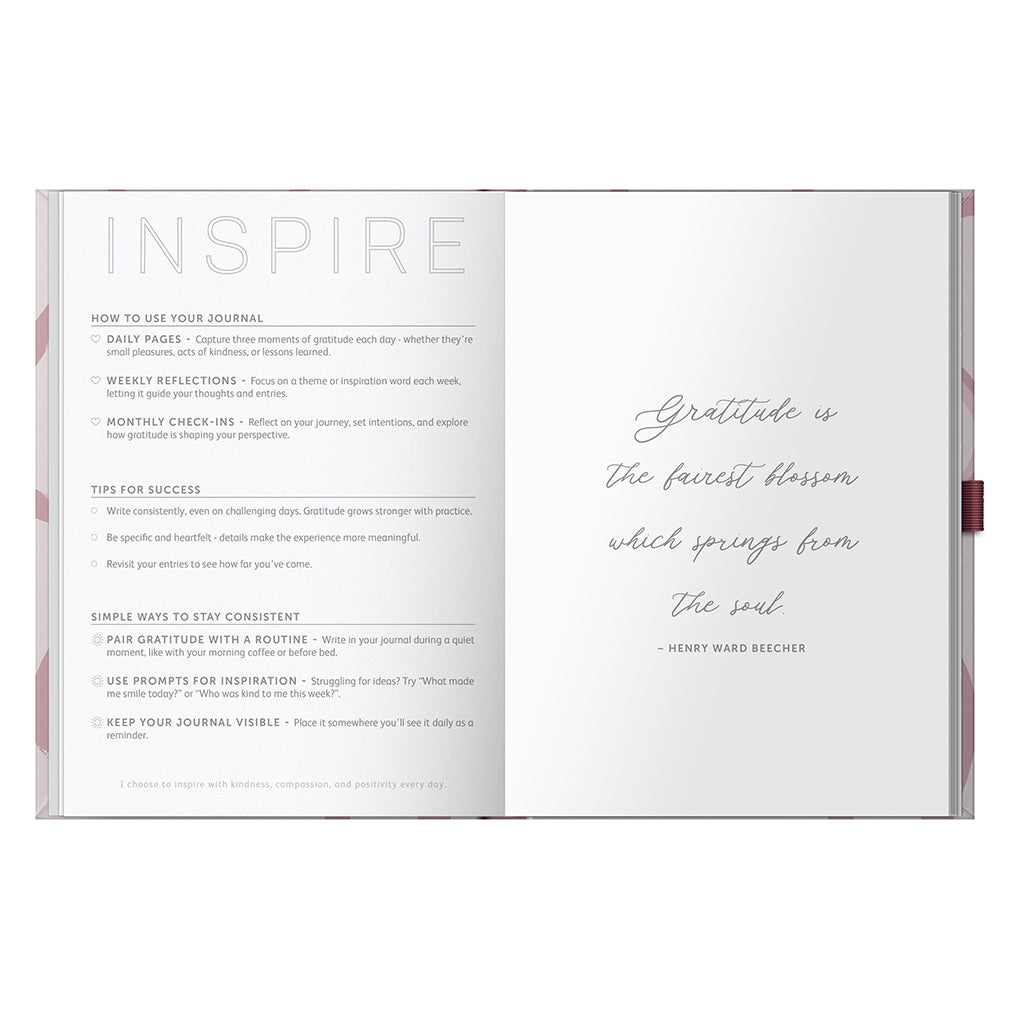 Busy B Journal - Gratitude