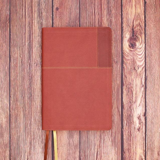 NIV - Thinline Reference Bible - Large Print