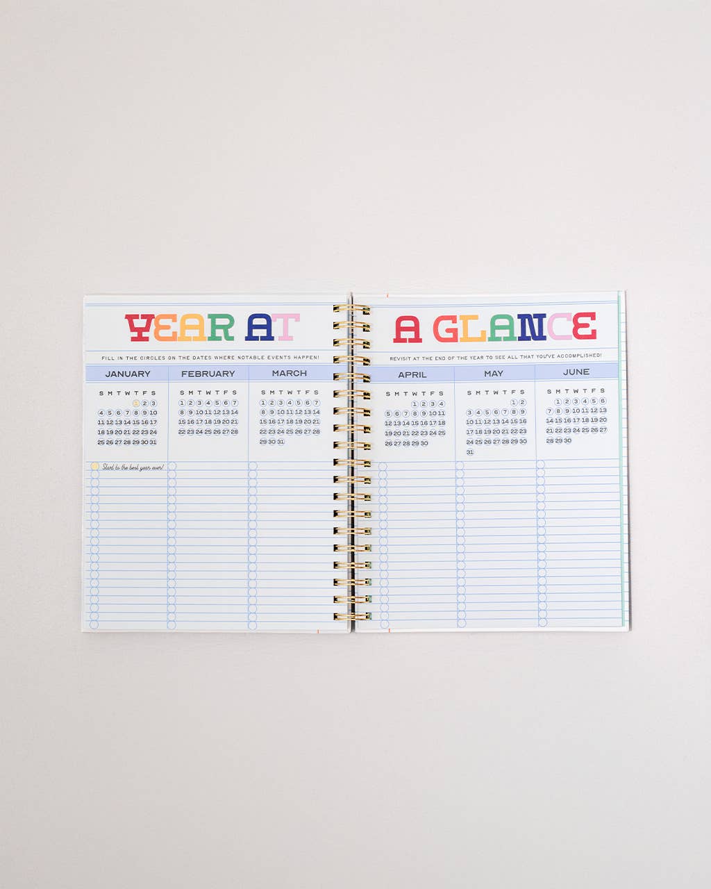 Ban.do 2026 Diary - Large Planner, Ready for Anything