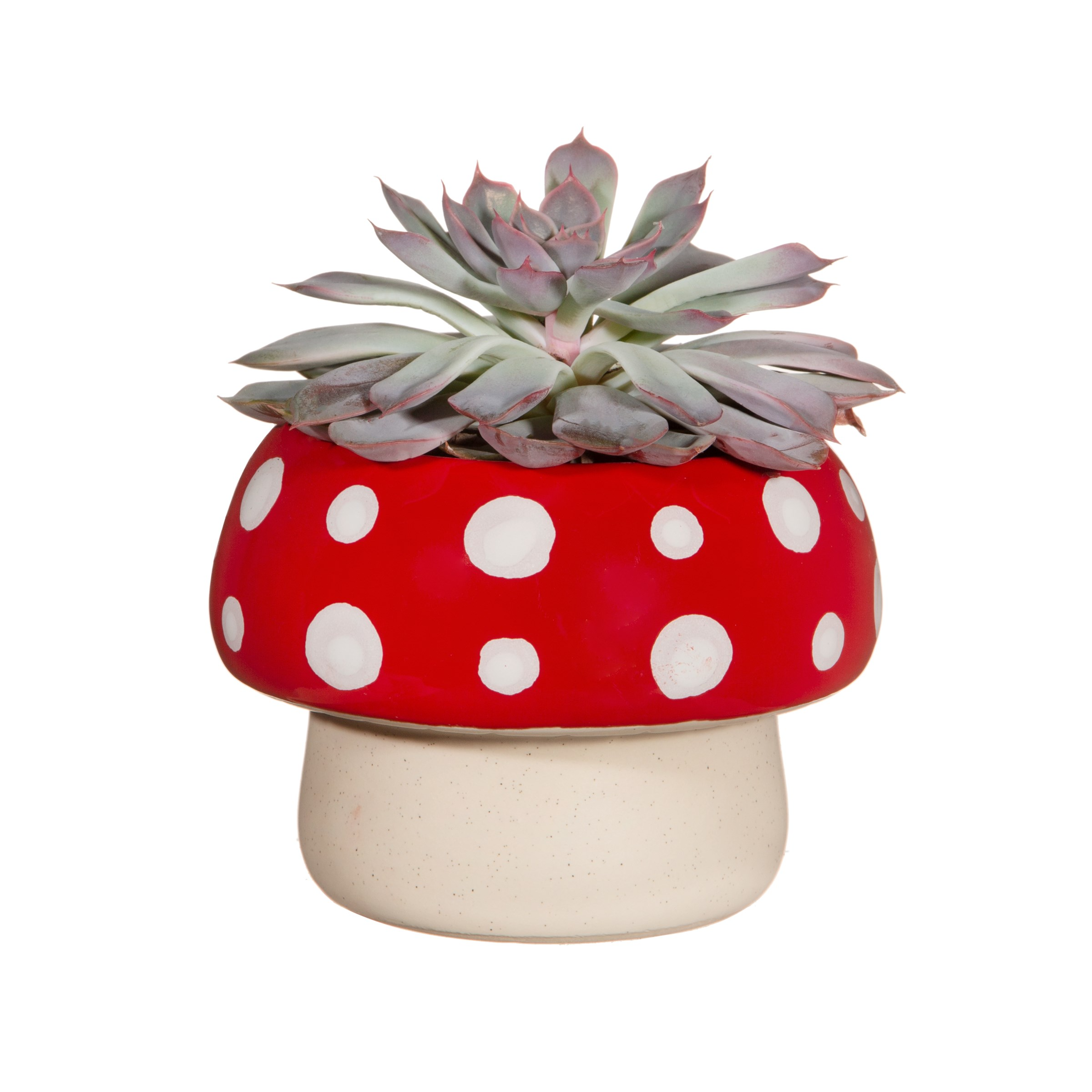 Sass & Belle Planter - Red Mushroom Large Planter