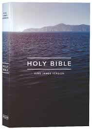 KJV Bible - Value Outreach Bible