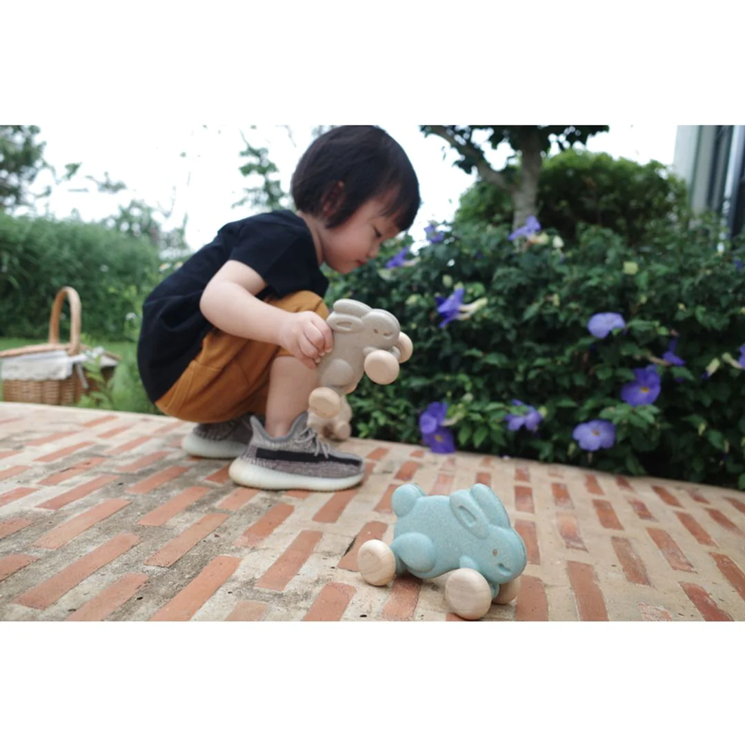 Plan Toys - Push Along Bunny