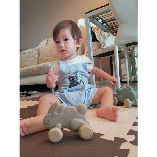Plan Toys - Push Along Bunny