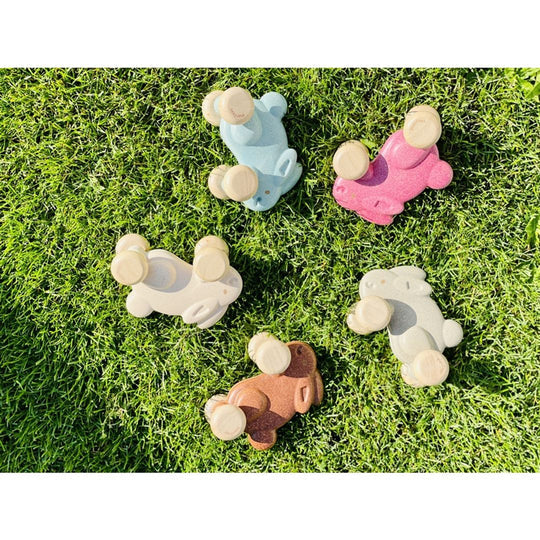 Plan Toys - Push Along Bunny
