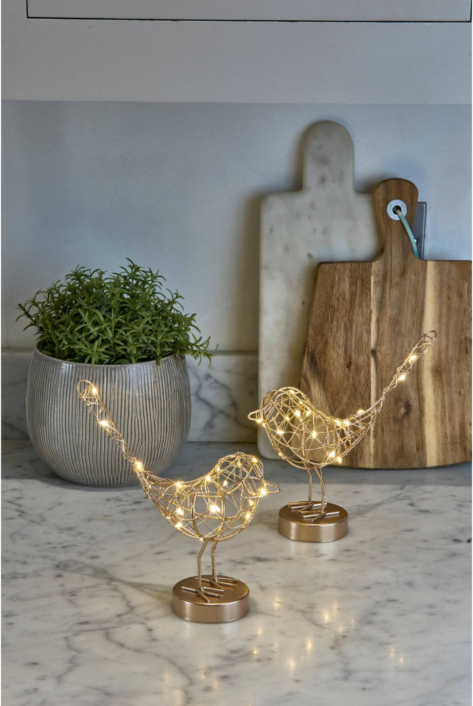 LightStyle Lights - Robins