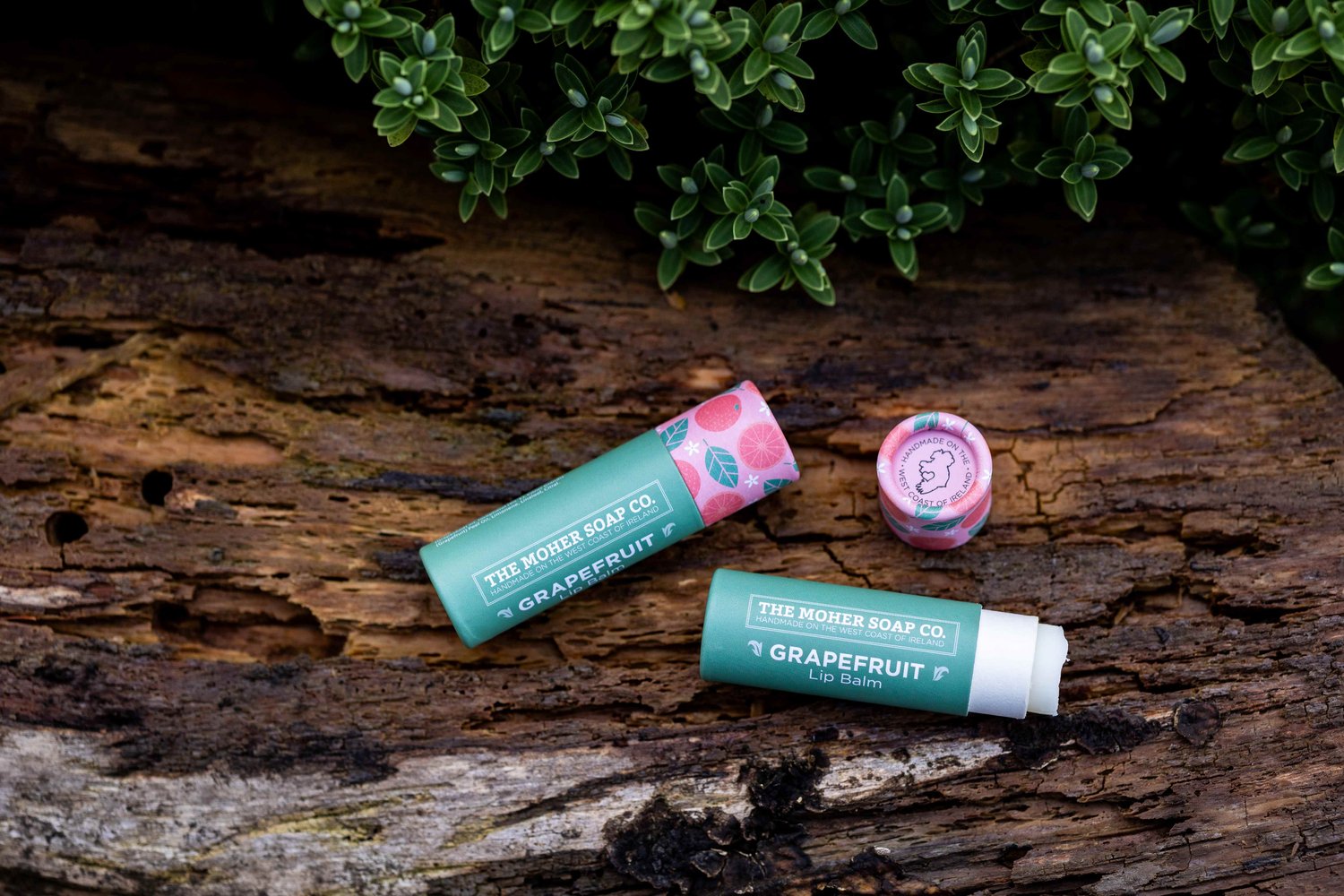 Moher Soap Co. - Lip Balm