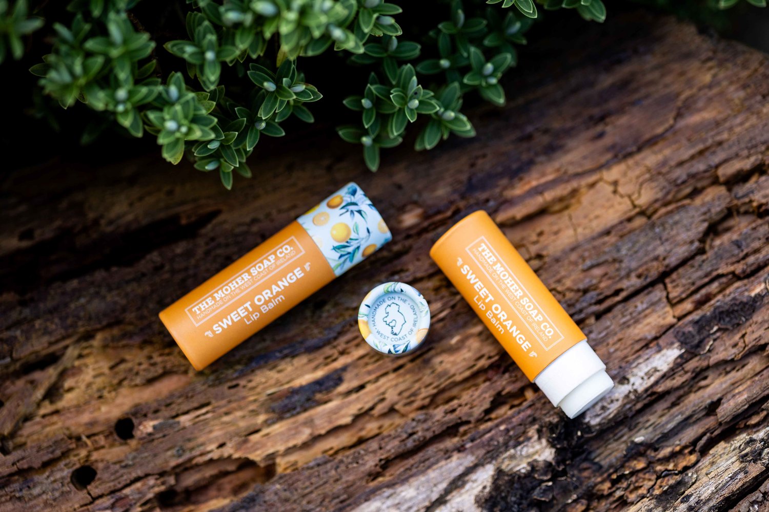 Moher Soap Co. - Lip Balm