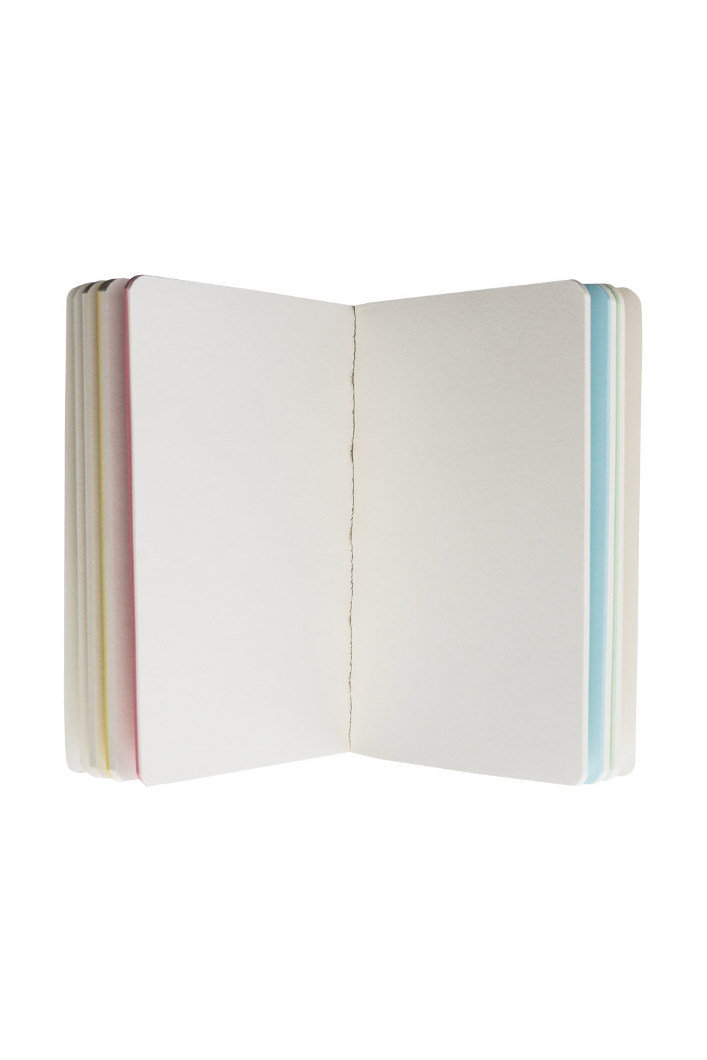 Tranquillo Stationery - A6 Notebook Vibrant Beetles