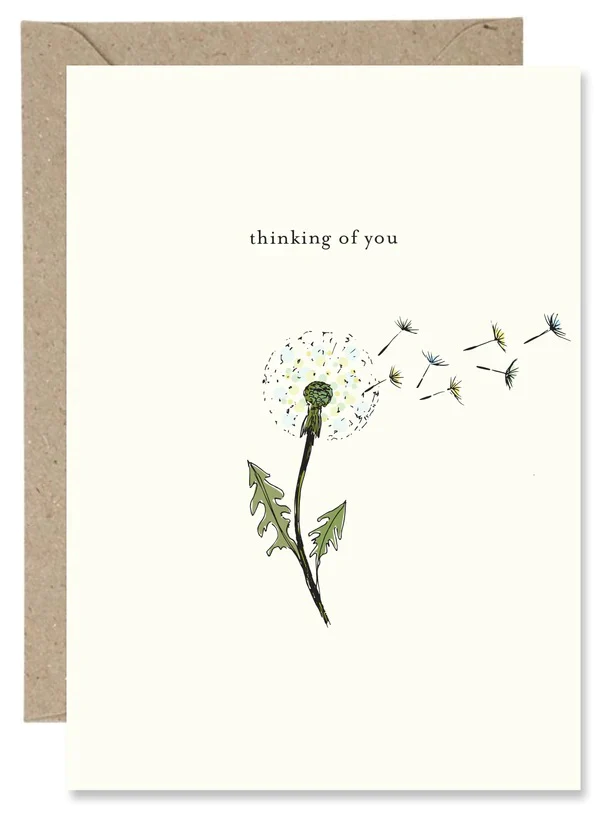 The Paper Gull - Thinking Of You