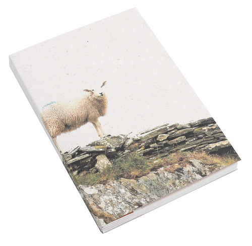 Badly Made Books - A5 Sheep's Head