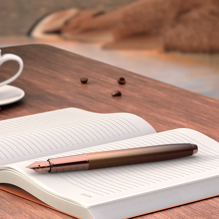 Sheaffer 100 - Coffee Edition with PVD