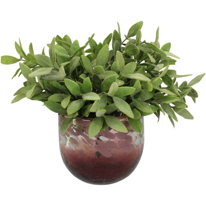 Kersten Home - Glass Planter / Candle Holder