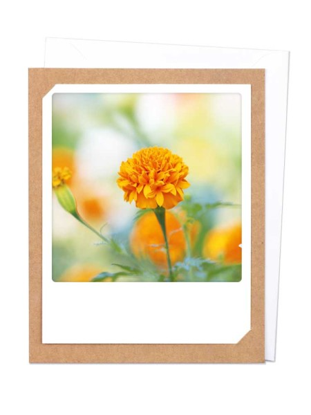 Pickmotion Photo-Card - Orange Flower