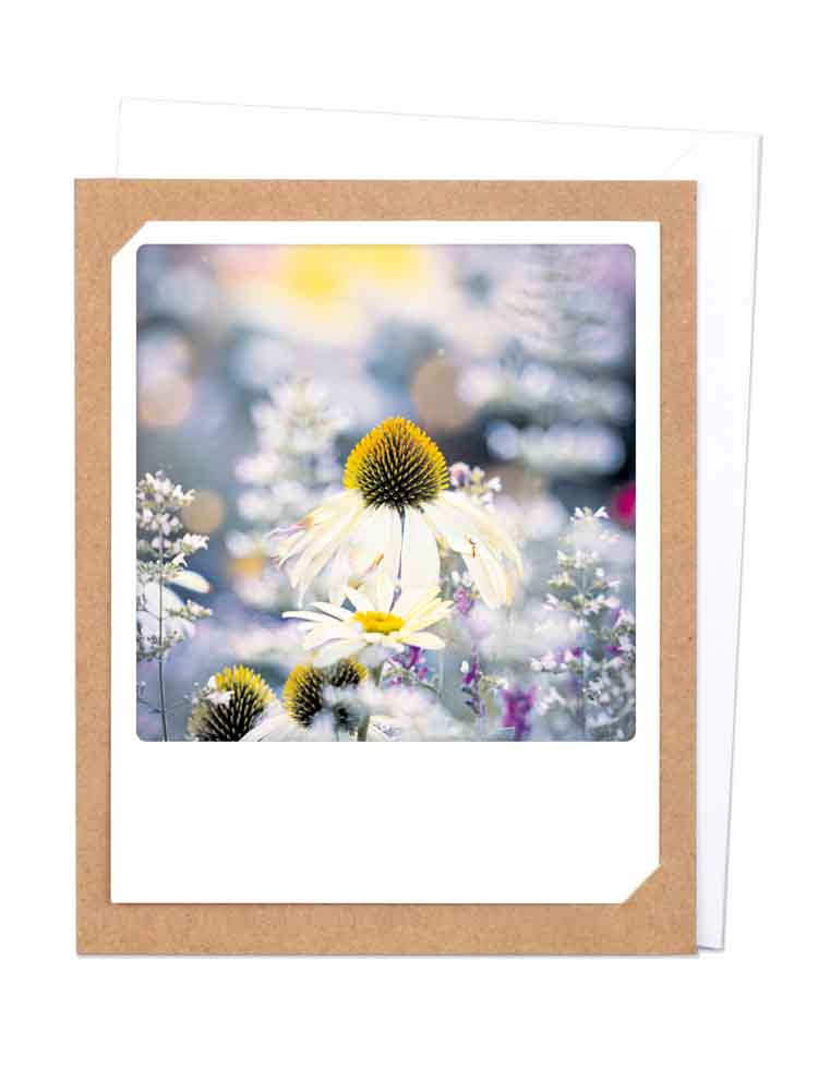 Pickmotion Photo-Card - Flower Field