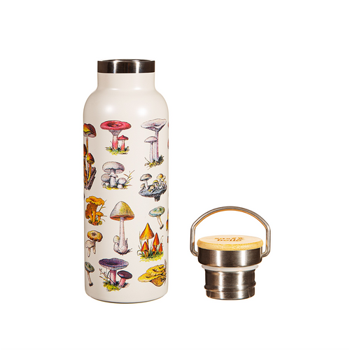 Sass & Belle Water Bottle - Vintage Mushroom Metal Water Bottle