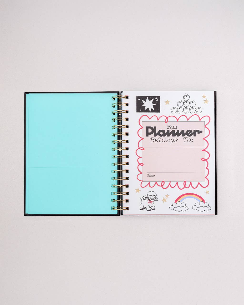 Ban.do 2026 Diary - Medium Planner, Thrilled to Be Here