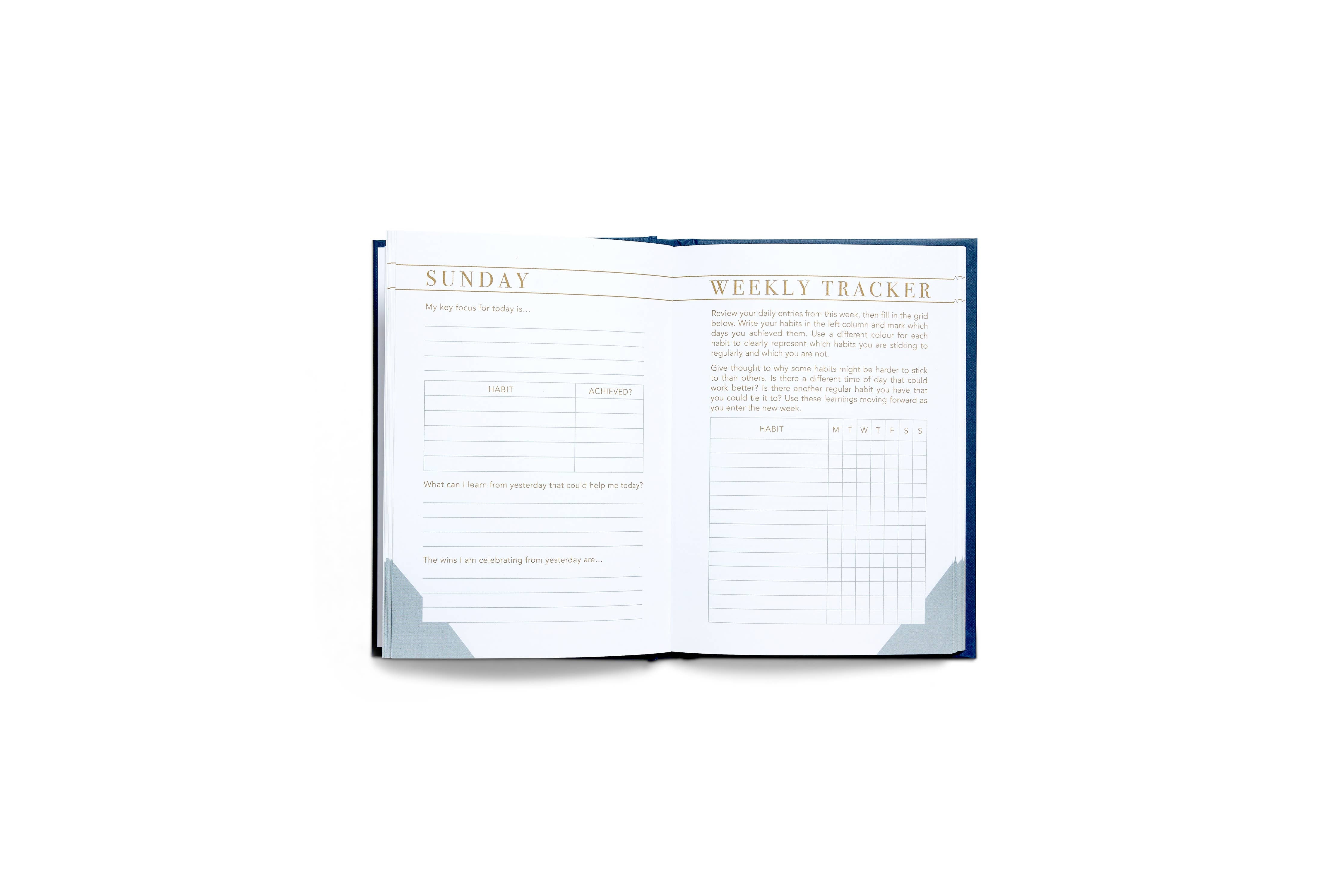 LSW London - Habit Notes