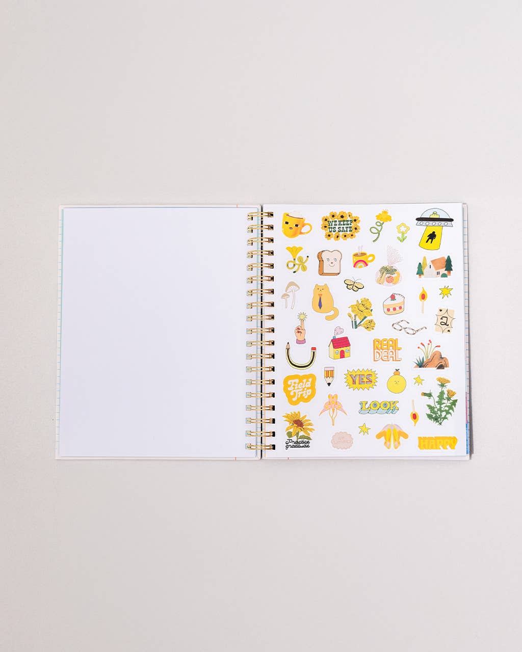 Ban.do 2026 Diary - Large Planner, Ready for Anything