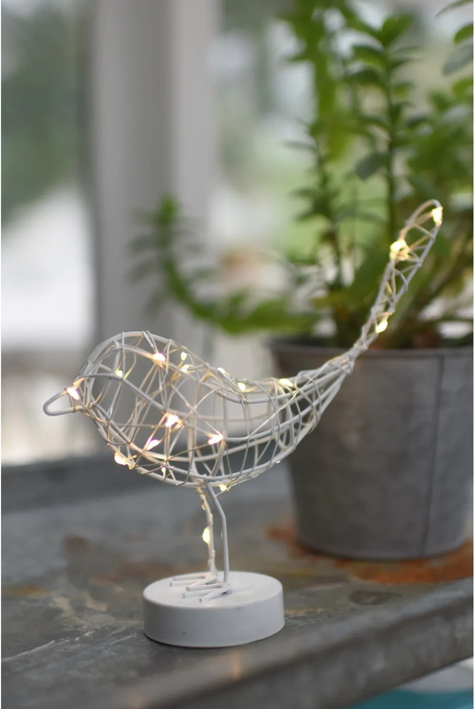 LightStyle Lights - Robins