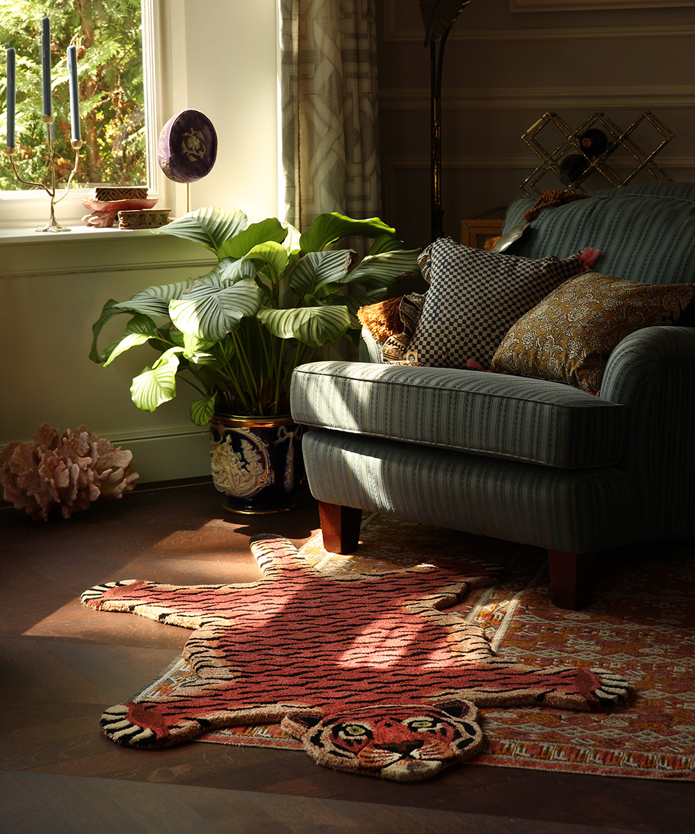 Doing Goods Rug - Tula Wise Tiger