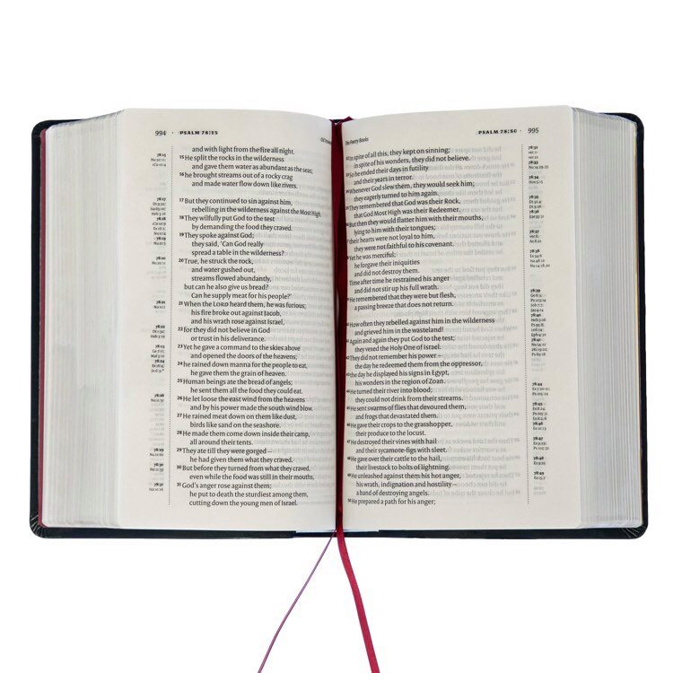 NIV - Larger Print Compact Single Column Reference Bible: Leather