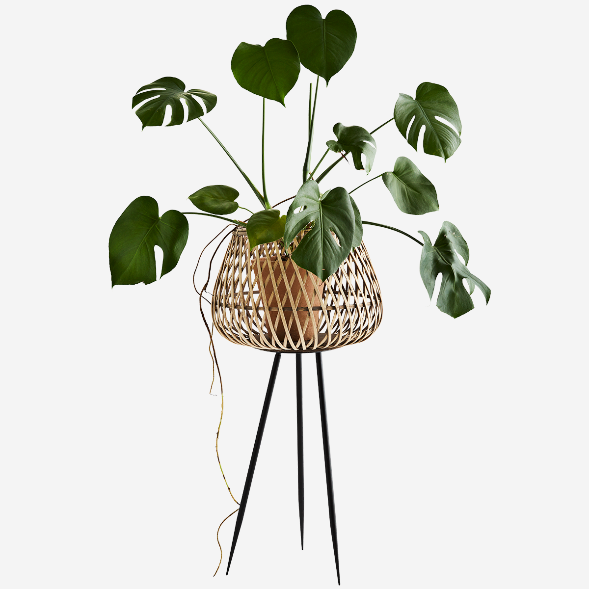 Madam Stoltz Planter - Bamboo tripod