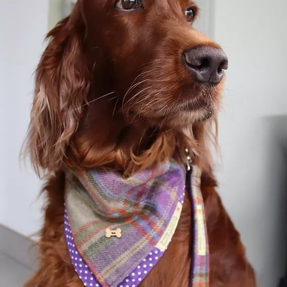 'Don't forget the Dog' Tweed Bandana