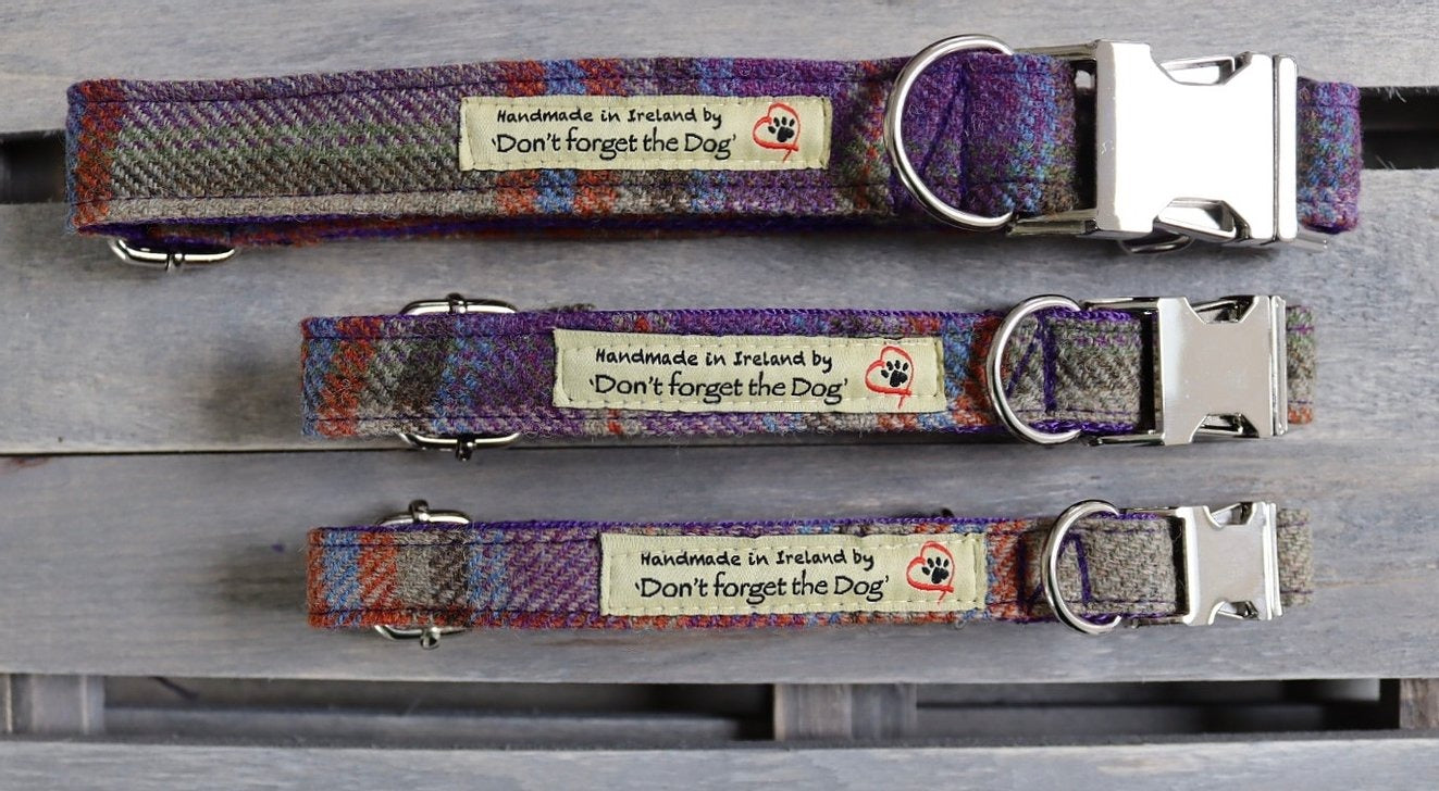 'Don't forget the Dog' Tweed Collar - Metal Buckle