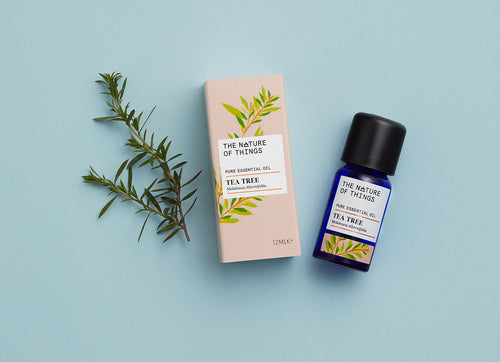 Nature of Things - Tea Tree Essential Oil 12 ML