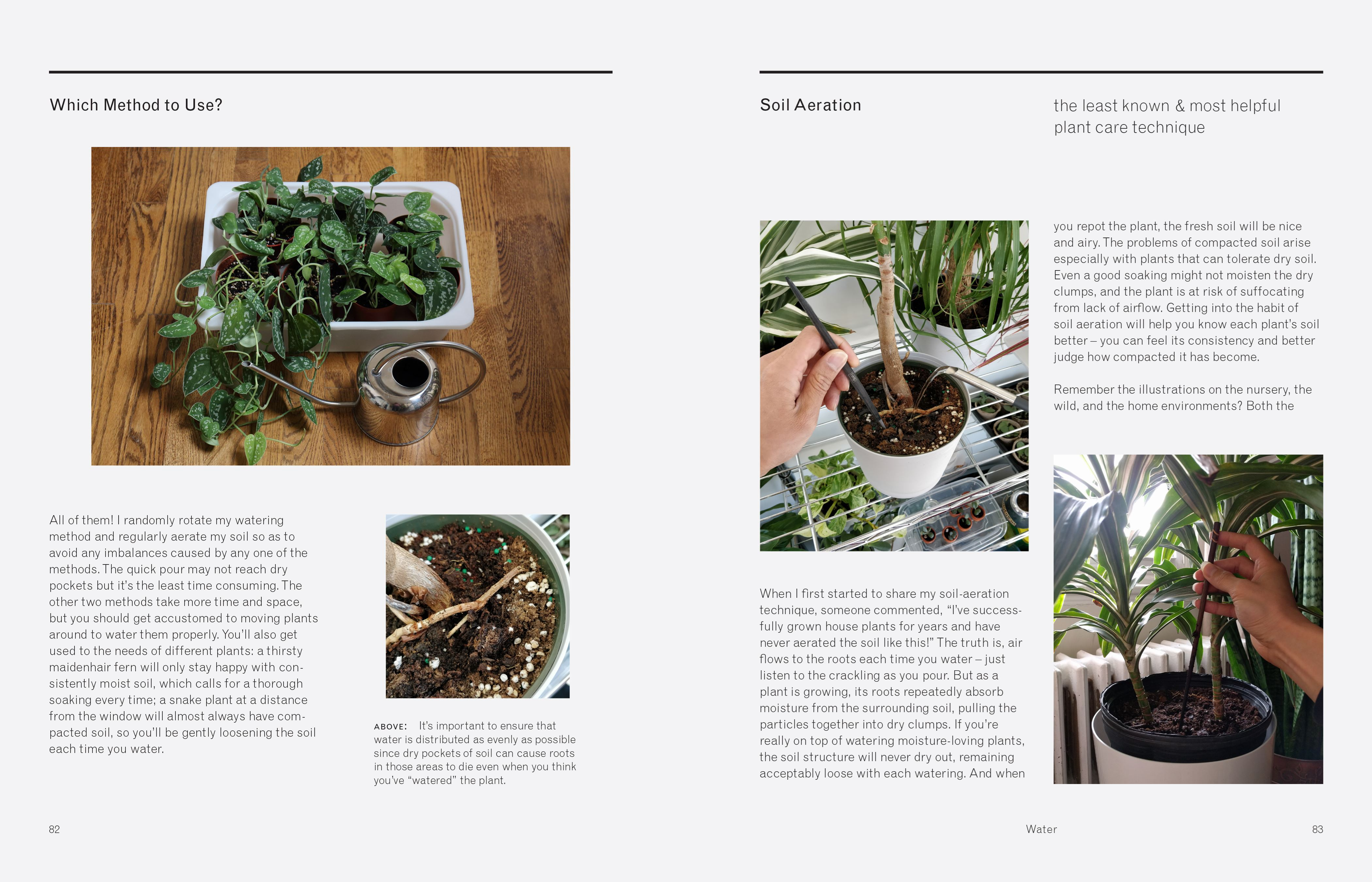 Book - New Plant Parent